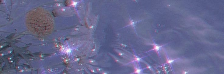 ella banner