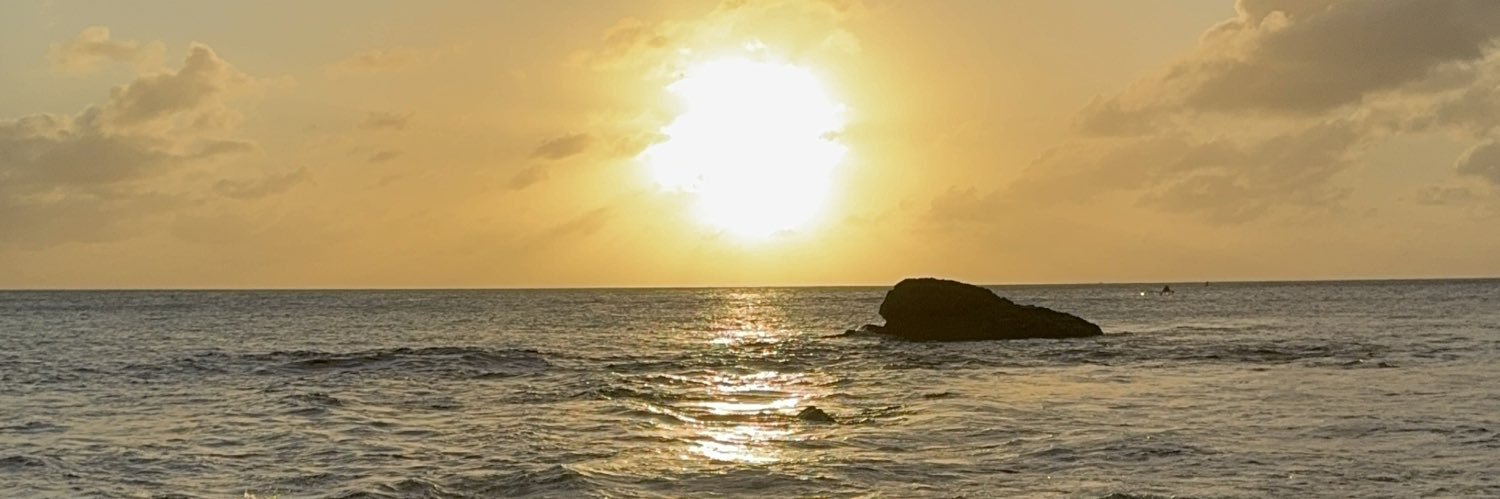 silvaadieg0's profile banner image