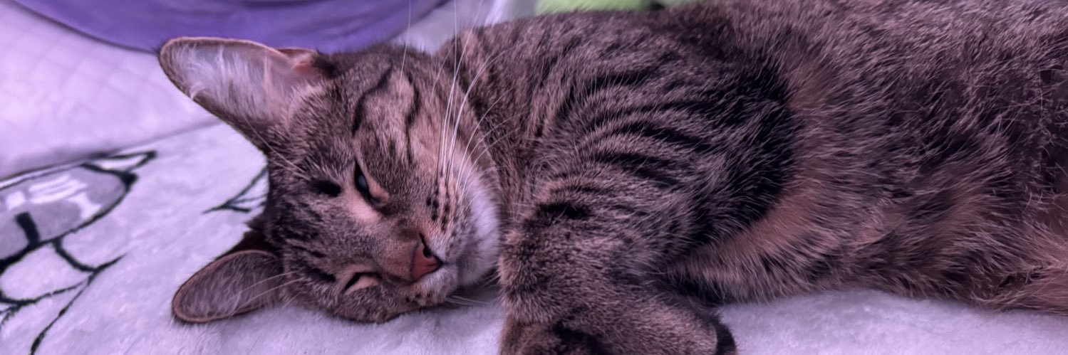 Blanket 🧛🏻‍♀️ banner