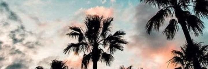wendydread's profile banner image