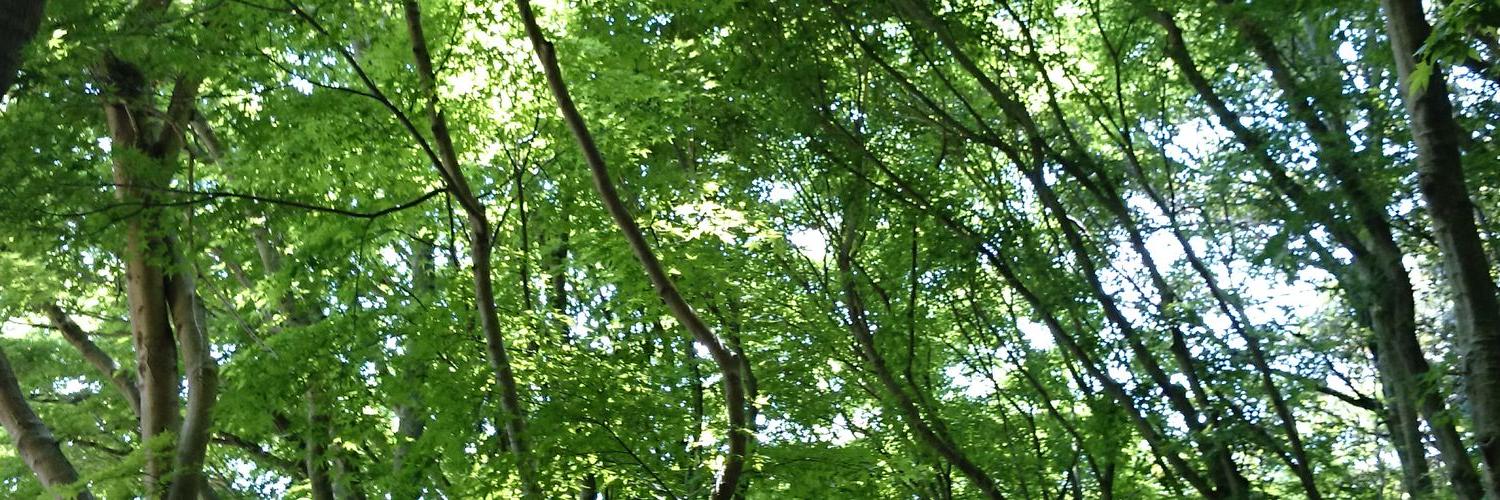 Hirokohhhh's profile banner image