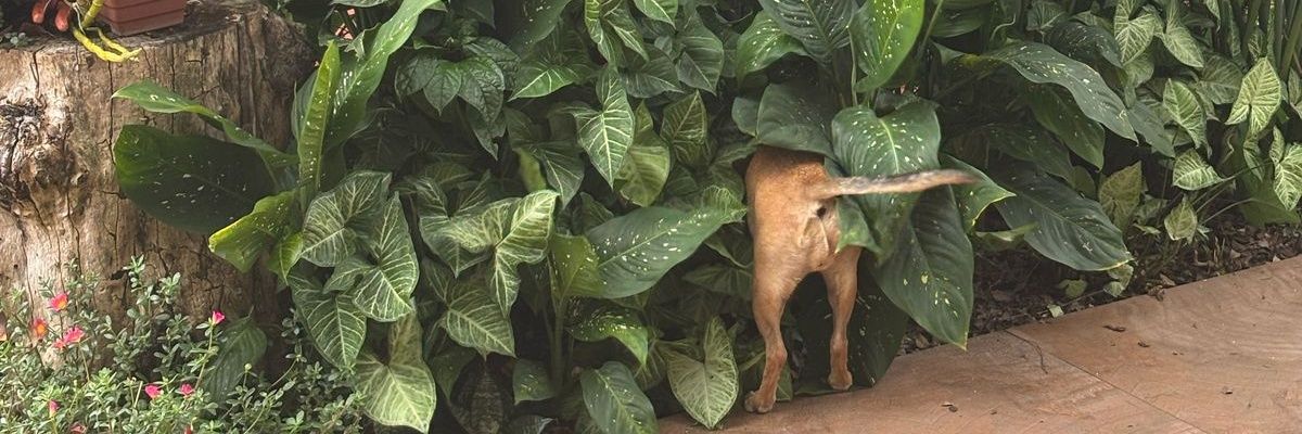 bernwdmk's profile banner image