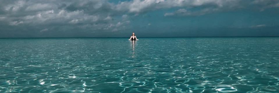 Susan Roderick banner