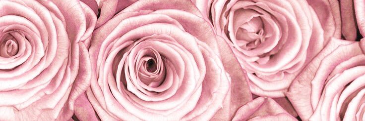 yaancyy__'s profile banner image