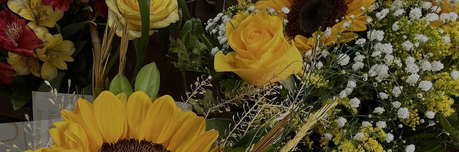 sofiiarosaa's profile banner image