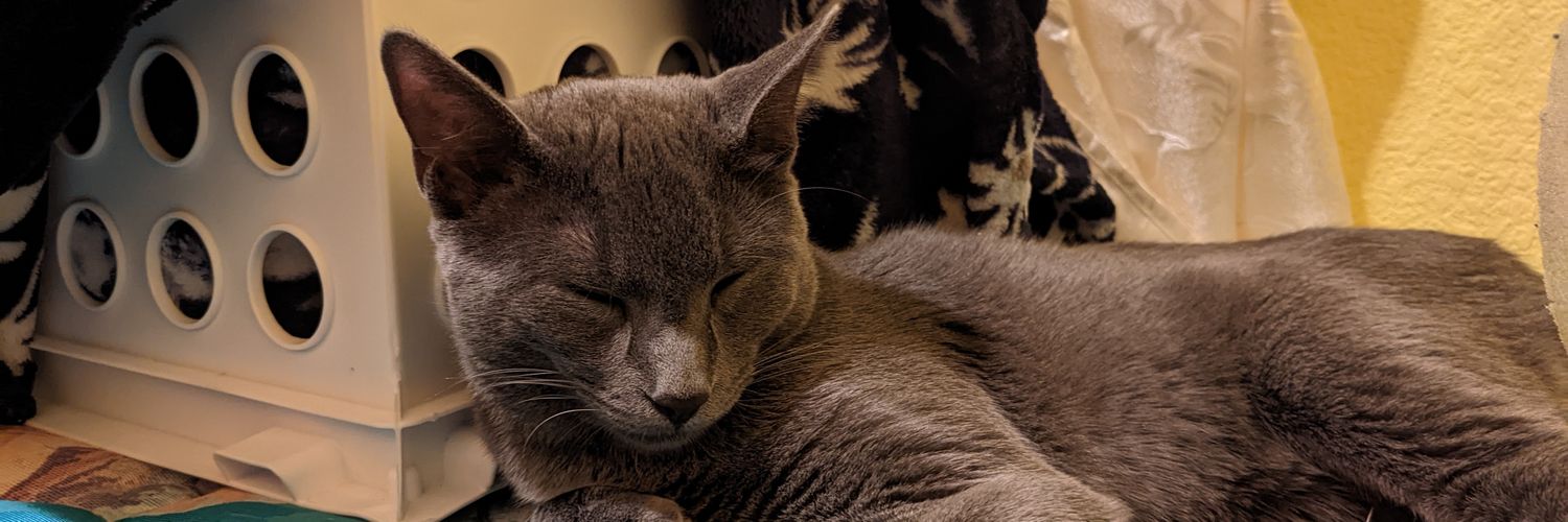 Tuamigrodrig0's profile banner image