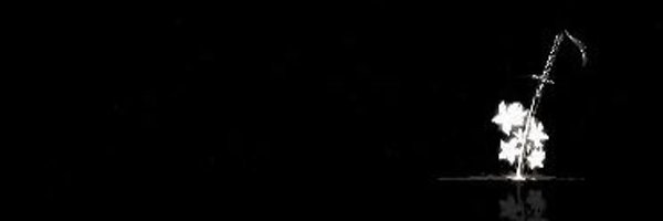 wi_crescent Profile Banner