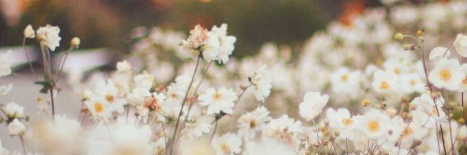 arisrista's profile banner image