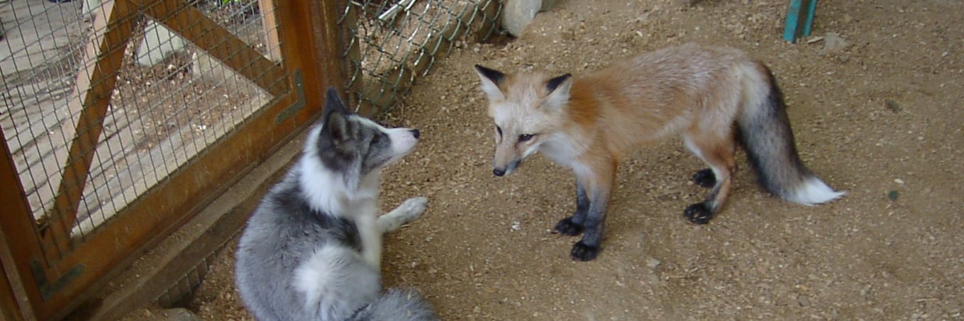 ふわり～く banner