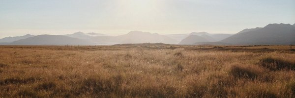 theuer Profile Banner