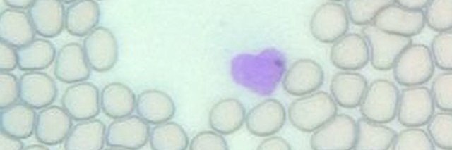 LaurenceLuu's profile banner image