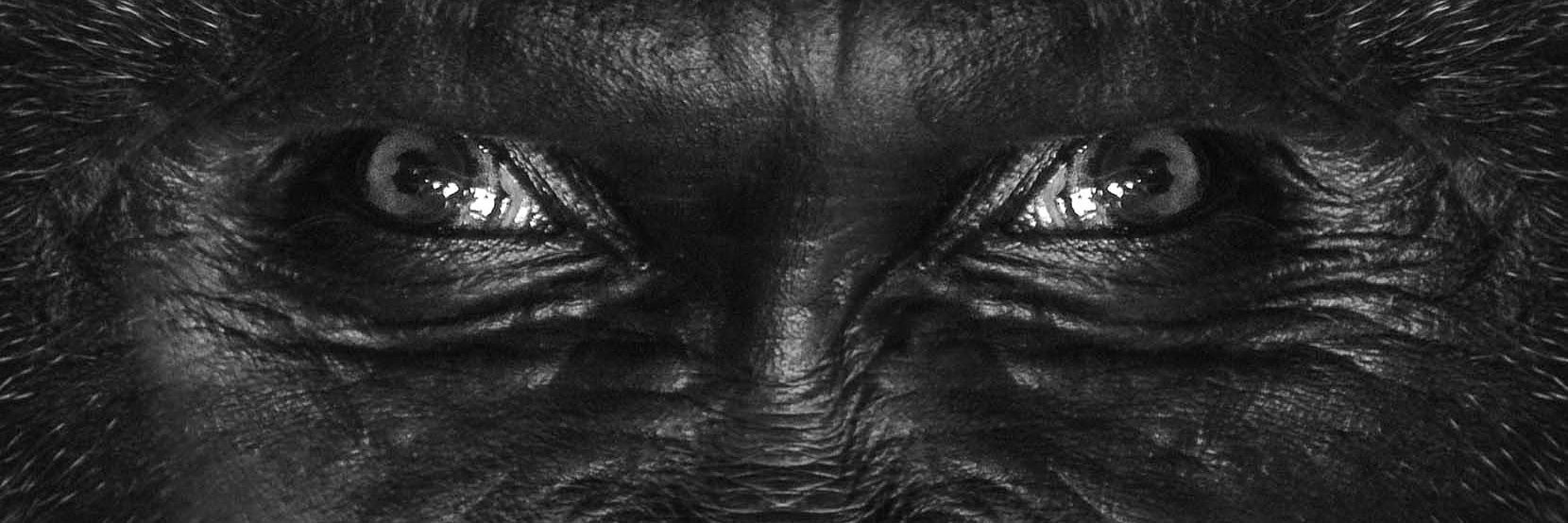 RoopAnkitPhoto's profile banner image