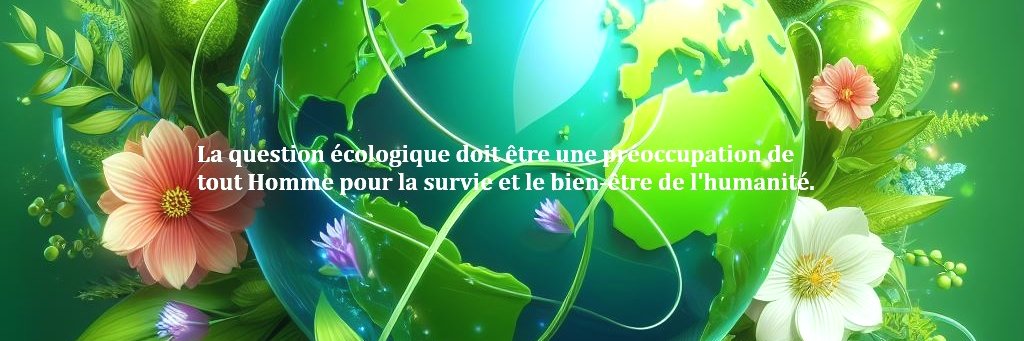 GregoireBado's profile banner image
