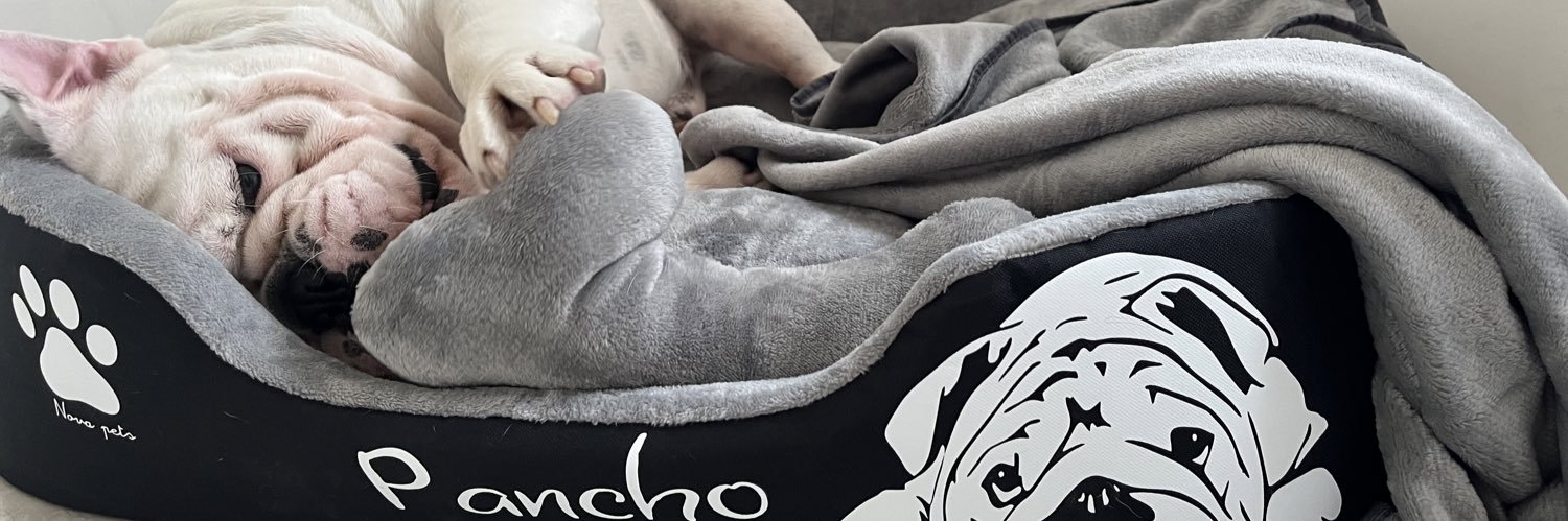 ameliamielesp's profile banner image