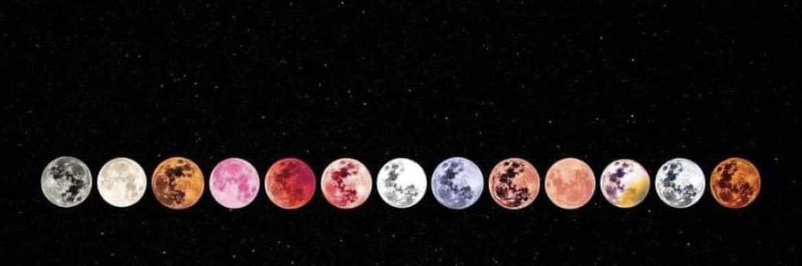 teaganburkee's profile banner image