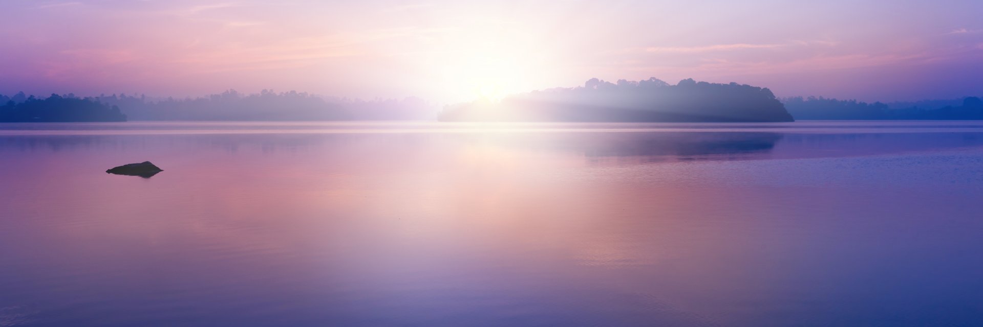RowenaStarling's profile banner image