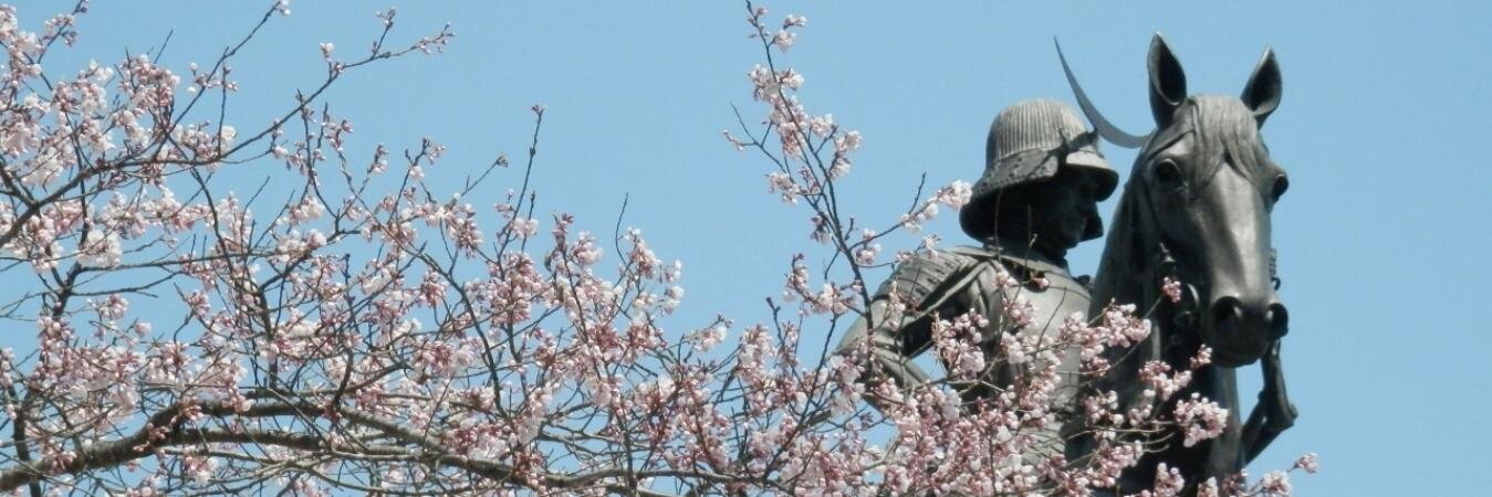 蒼猫@ろん banner