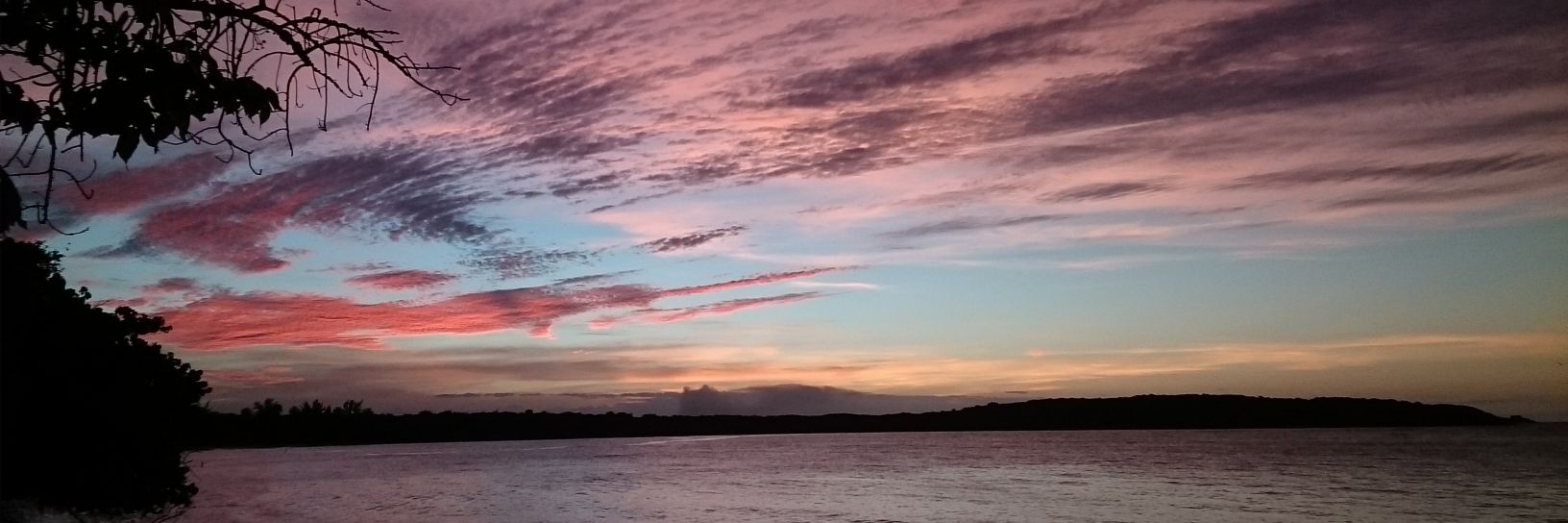 laveronica4's profile banner image