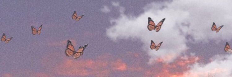 Nancy Cruz 🇲🇽 banner