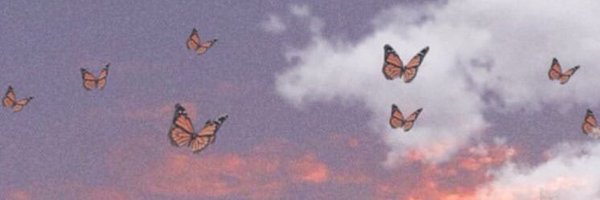 Nancy_Cruises Profile Banner