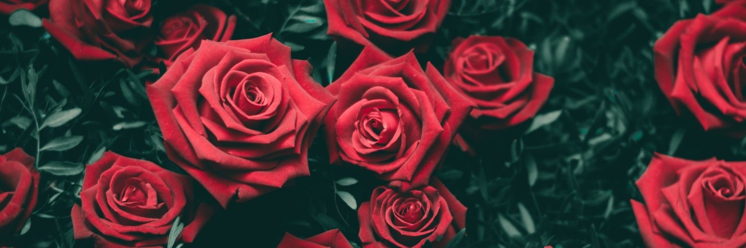 amani_asma's profile banner image