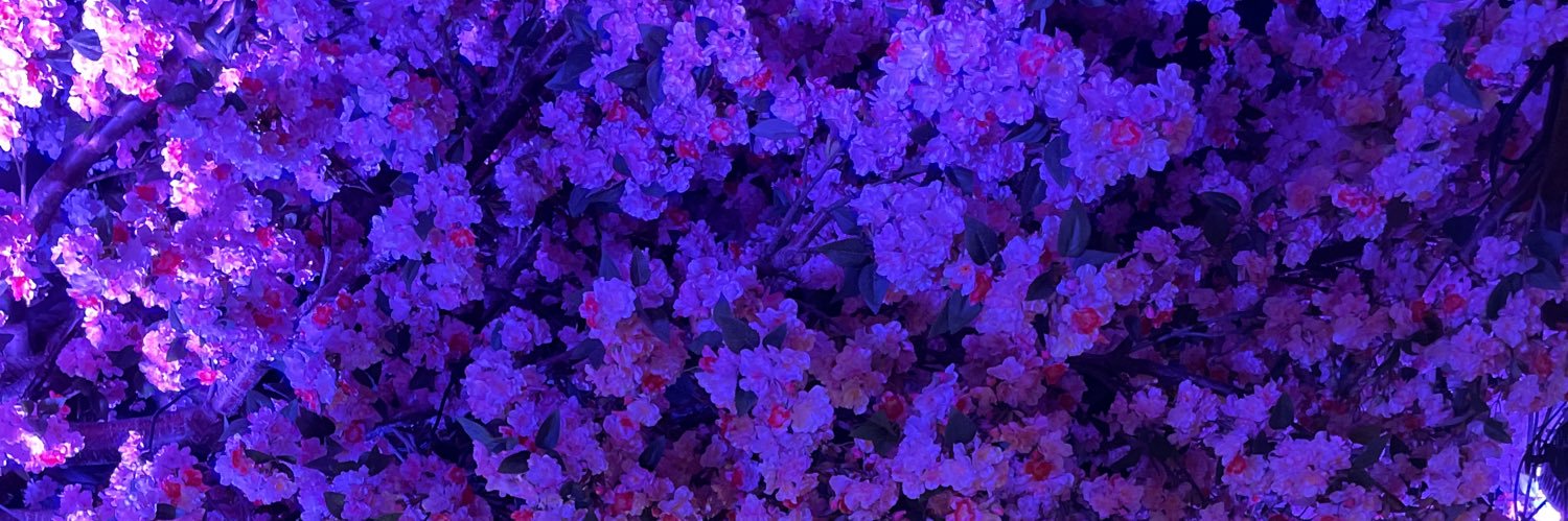 MrsBreakspear's profile banner image