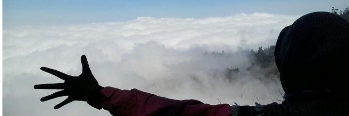 bibehm's profile banner image