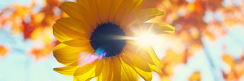 MrsVilla14's profile banner image