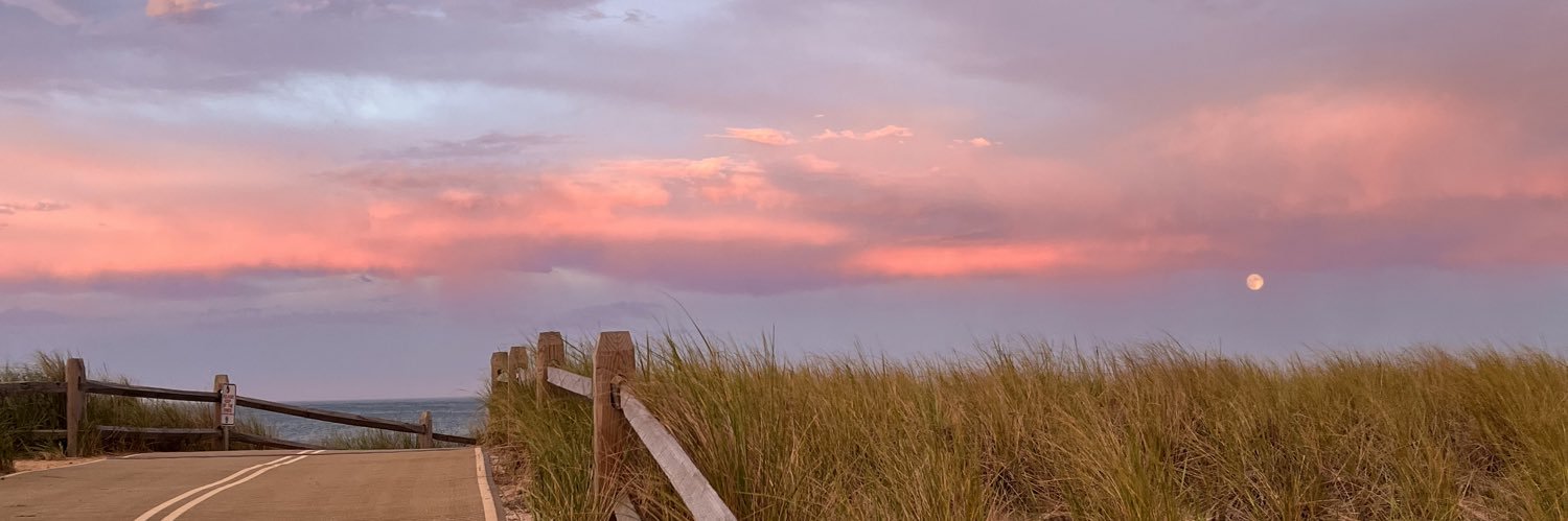 Roxanne Feitel banner