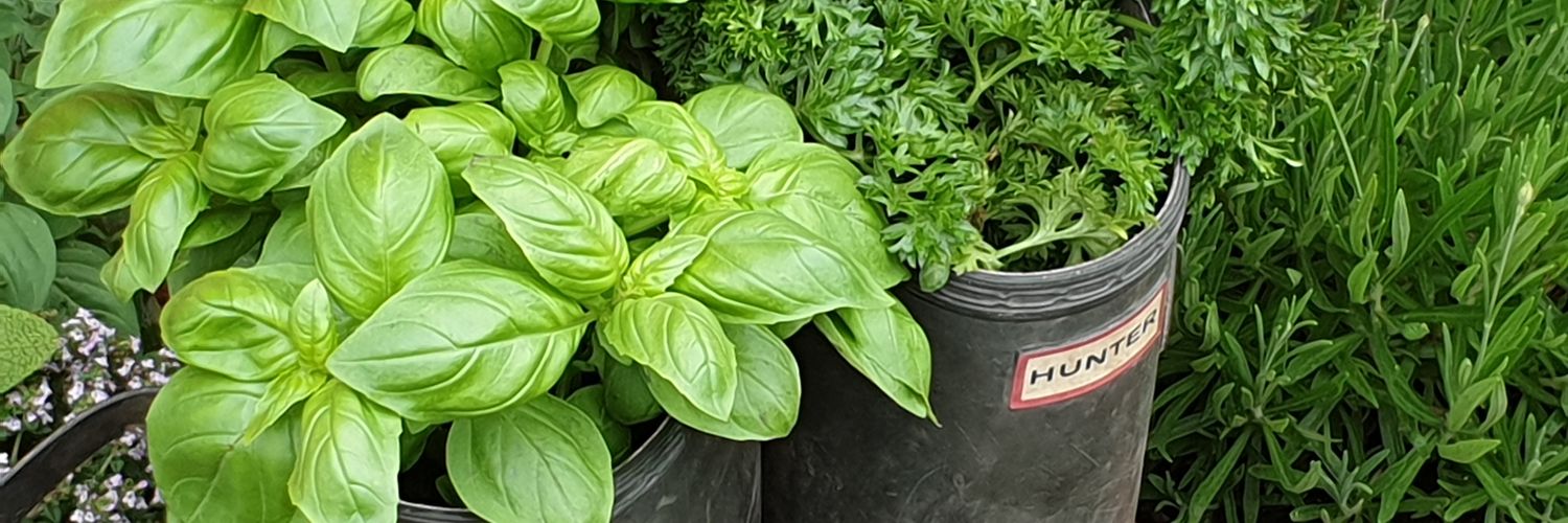 Simon Hunter Marsh banner