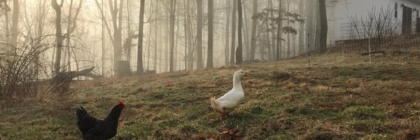 amber_capron Profile Banner