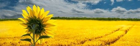 MBriggerlive's profile banner image