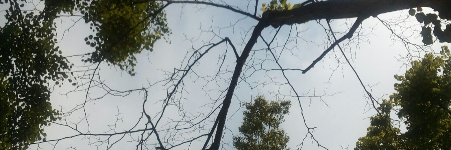 LucyTee88's profile banner image
