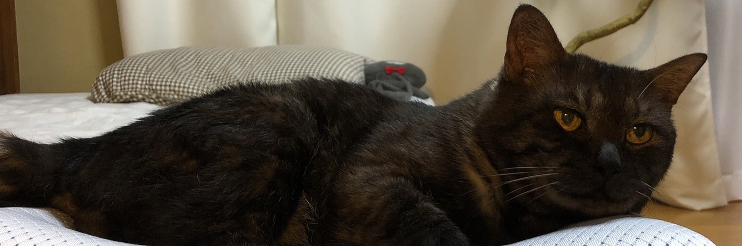 あしやひろ banner