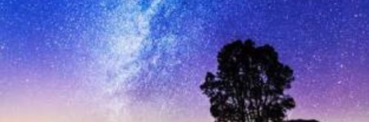 YASAIJYUSU196's profile banner image