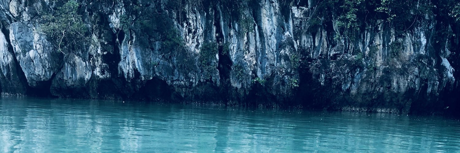 Céline Forest banner