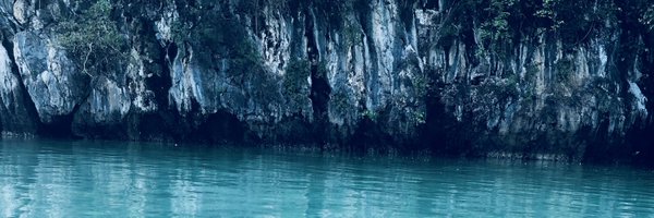 celine_forest Profile Banner