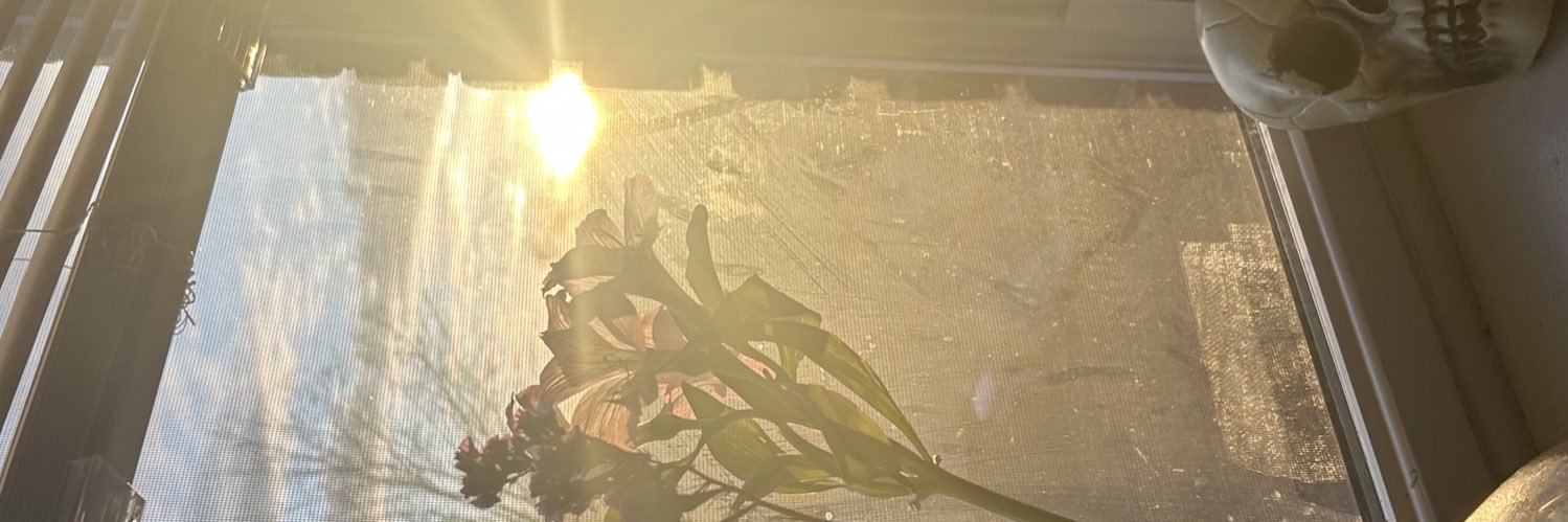 taliahyo's profile banner image
