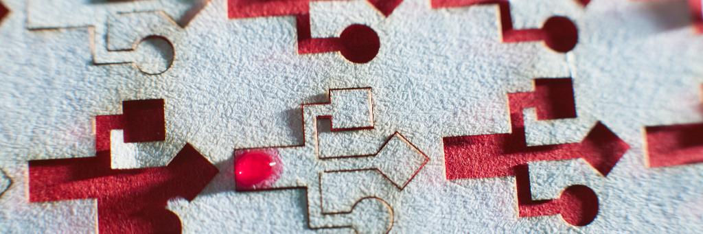 Carnot PolyNat banner