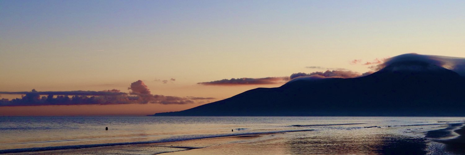 Eleanor Shannon banner