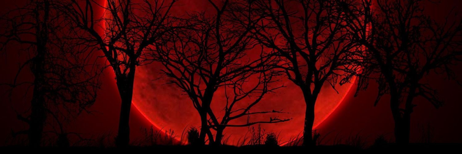 S0n0f5parda's profile banner image