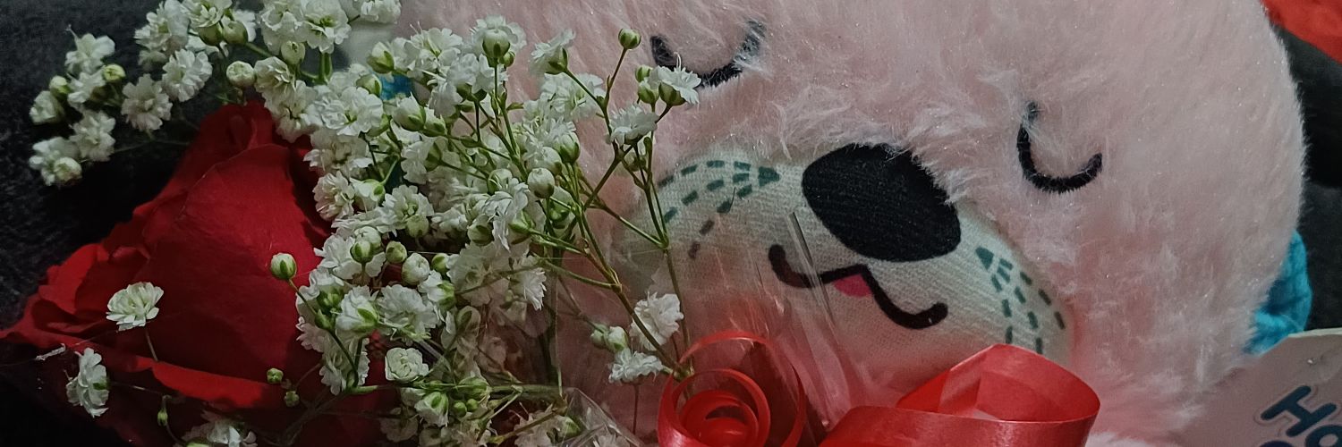 vou pro funeral na vã da funeraria banner