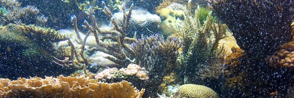 19megatron11 Profile Banner