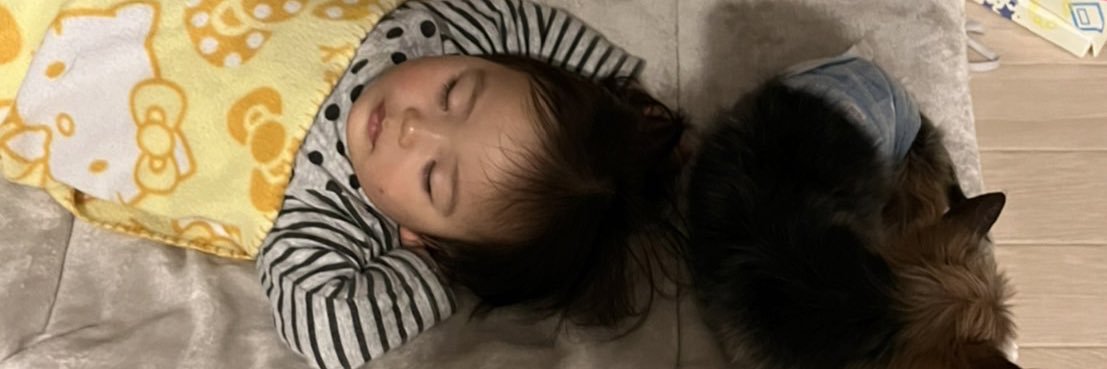 akitoshiiiii's profile banner image