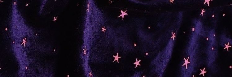megan ✧.* banner