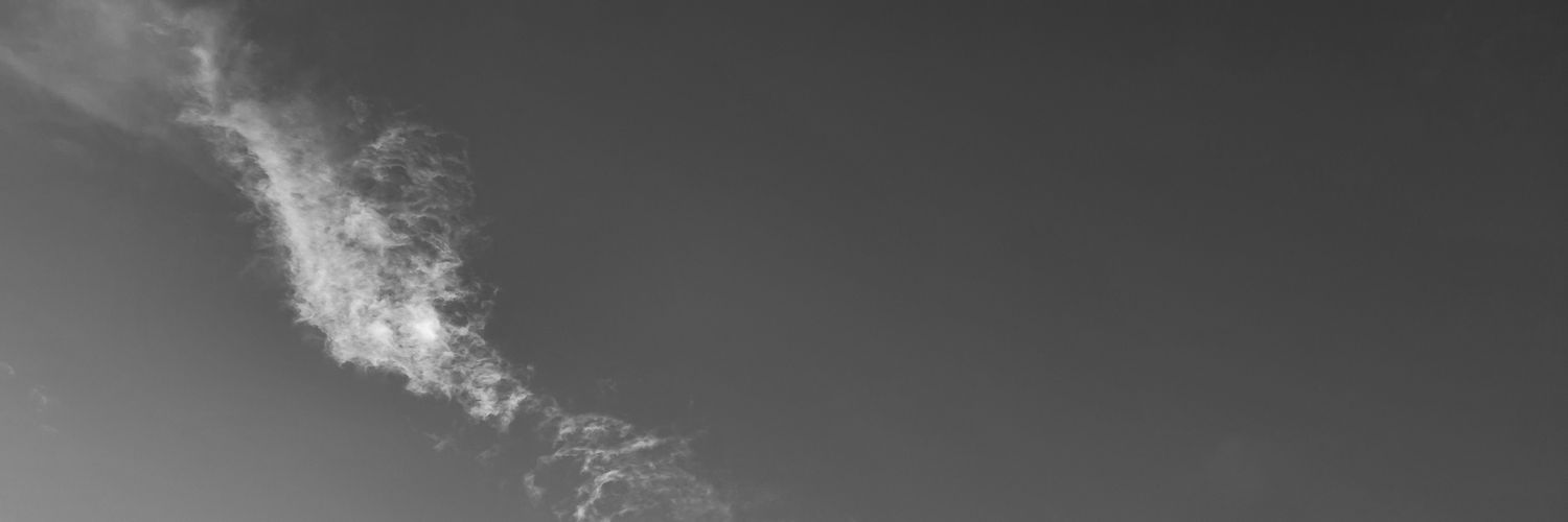 vatiarda's profile banner image