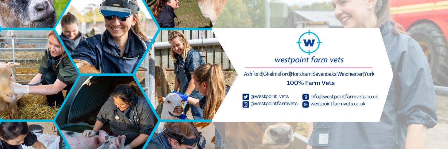 Westpoint_Vets's profile banner image