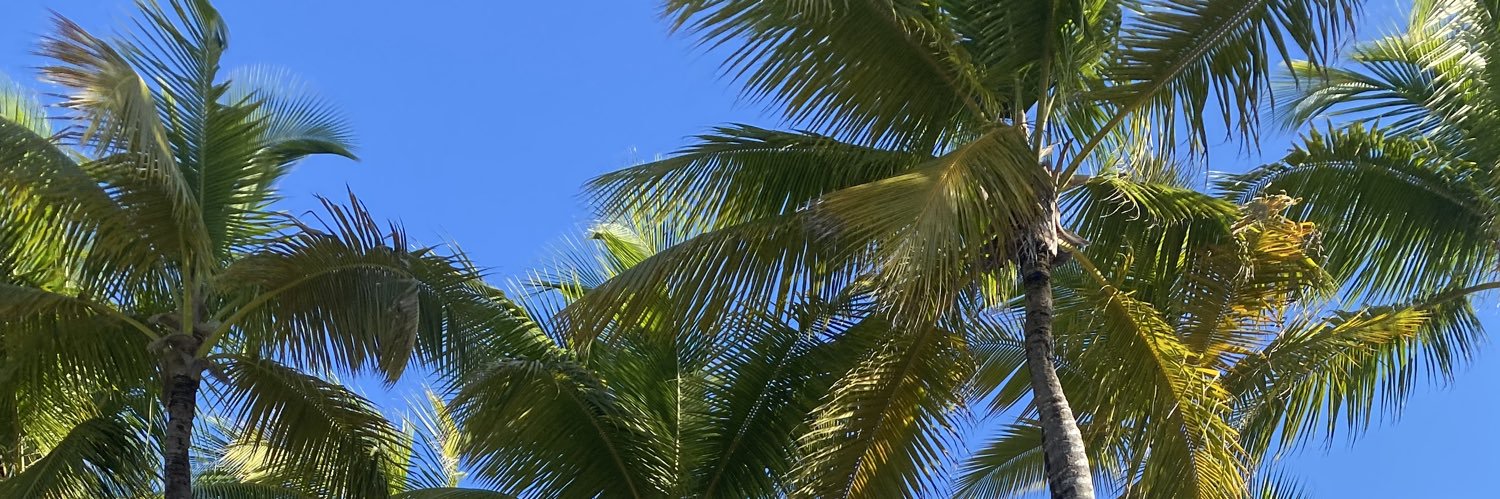 ivanacueva11's profile banner image