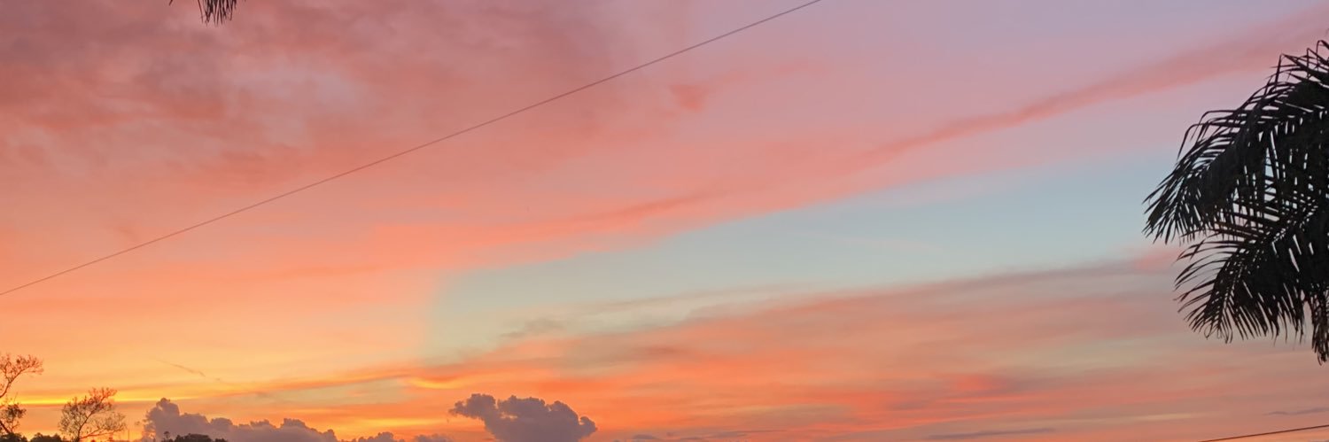 Claudia Rivera Cotto banner