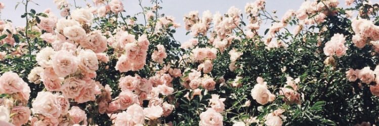itskathryna's profile banner image